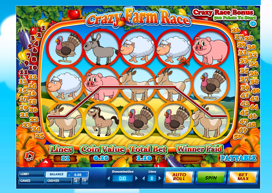 Crazy Farm Race